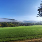 Landschaft