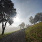 Nebel